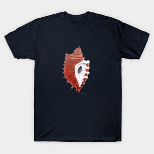 Seashell on the beach T-Shirt